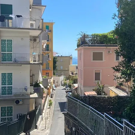 Hotel Dana House 4*
