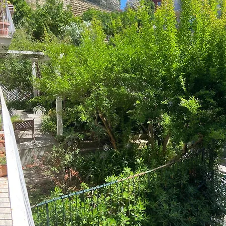 Dana House Hotel